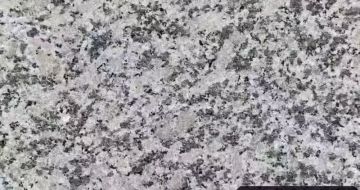乌兰察布 芙蓉白（芝麻白大花）火烧面