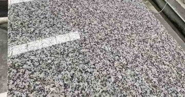 乌兰察布 芙蓉白光面