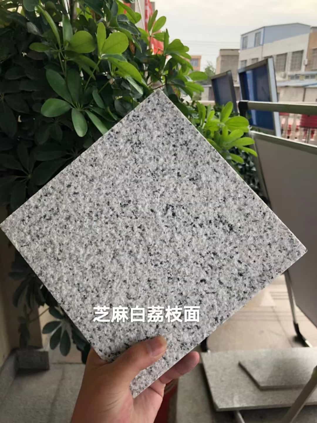 乌兰察布 芝麻白荔枝面干挂