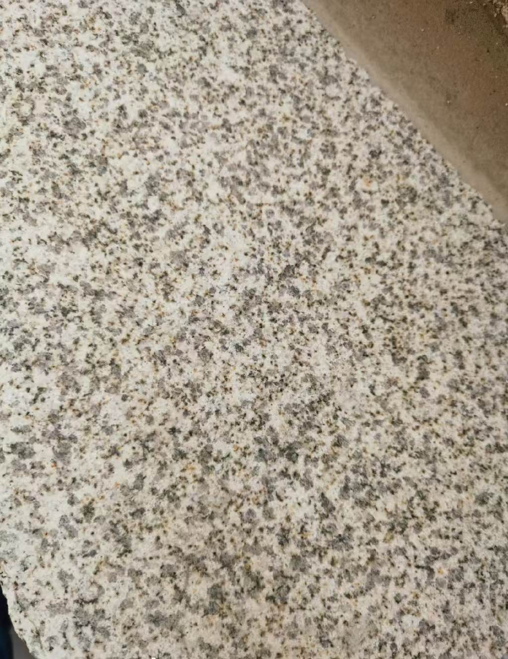 乌兰察布 黄金麻中黄光面