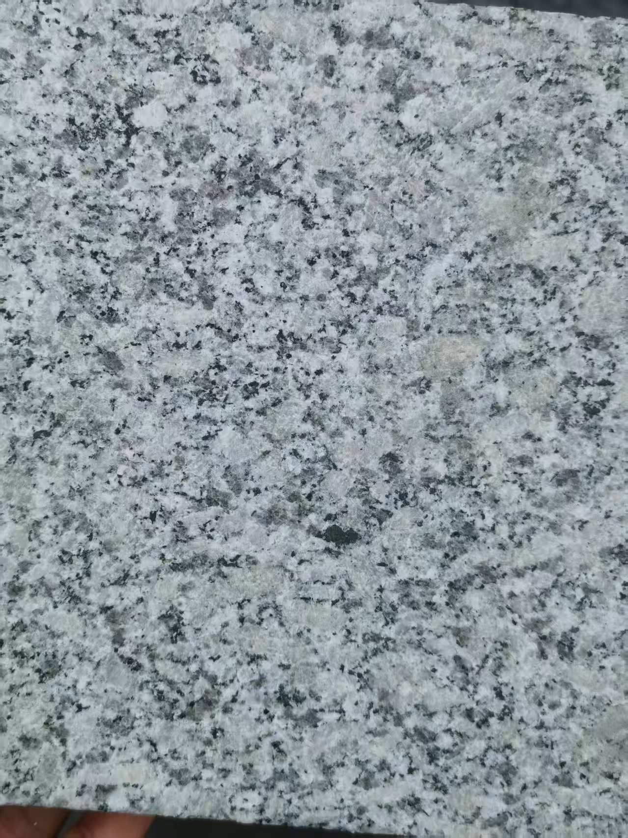 乌兰察布 芙蓉白火烧面